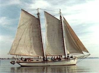 oyster schooner 