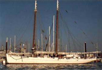 Eastport Sardine Carrier